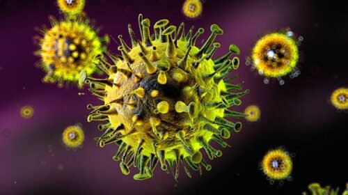 primer caso gripe h3n2 mexico influenza