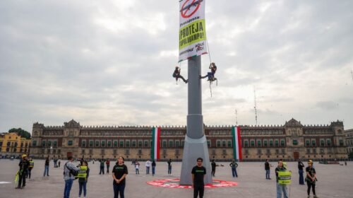 protesta greenpeace zocalo