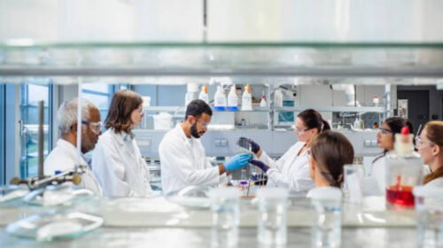 quimiscos estudiantes reclutados cartel sinaloa new york times fentanilo