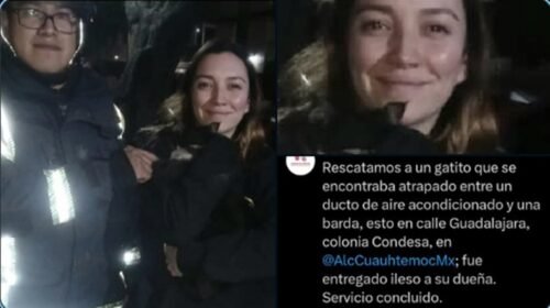 regina blandon rescate gato bomberos direccion viral
