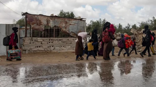 rss-efede1705c61832364ef3a1b57f1f12bede06a750b5w