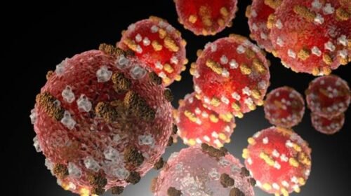 sarampion mexico repunte america latina enfermedad