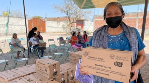 secretaria de bienestar pue