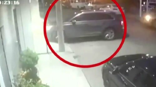 secuestro maestro inseguridad niña