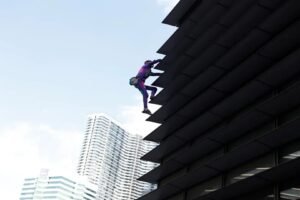 spiderman-frances