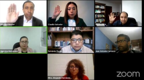 tet diputaciones morena mc