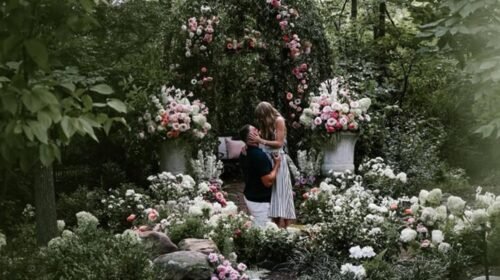 travis swift propuesta matrimonio espectaculos