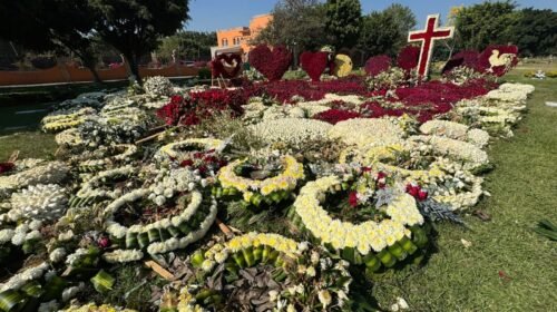 tumba el mencho jalisco cjng