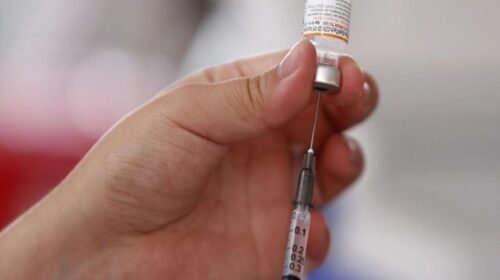 vacunacion tuberculosis niños niñas mexico salud bcg