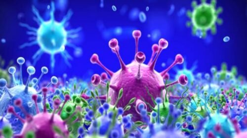 variantes covid contagios pandemia