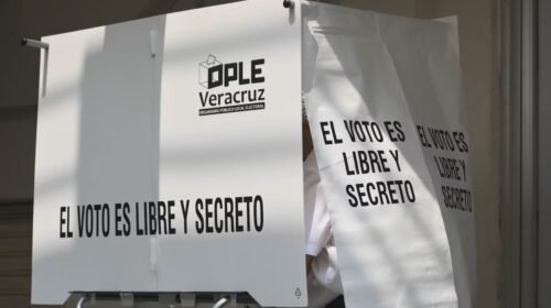 veracruz maynez papantal fraude electoral