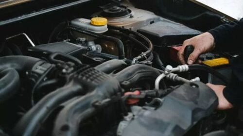 verificacion vehicular cdmx tramites vehiculares