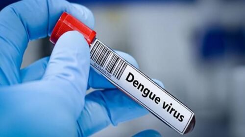 virus dengue vacuna mexico cofepris