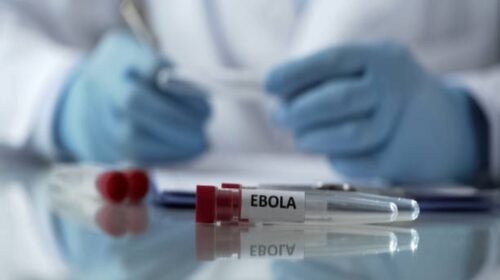 virus ebola brote africa central emergencia sanitaria internacional